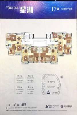 大涌雅居乐户型图（大冲雅居乐）