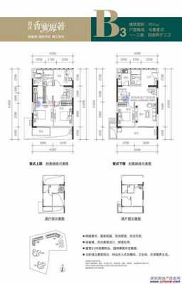 香蜜原著H户型图（香蜜新房）