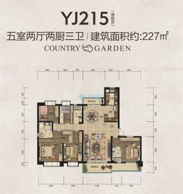 化州碧桂园五房户型图（化州碧桂园真实交房图片）