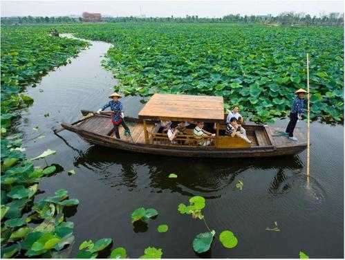 资兴荷塘春城户型图（资兴荷花）